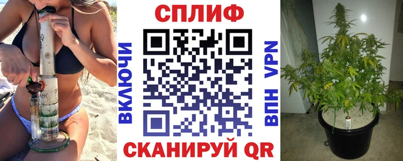 Бошки Шишки планчик Подольск